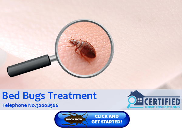 Bed Bugs Treatments Basin Pocket