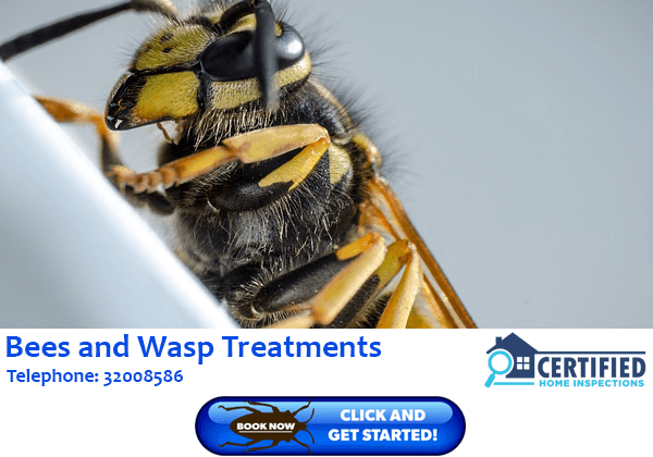 Bee And Wasp Treatment Woodridge