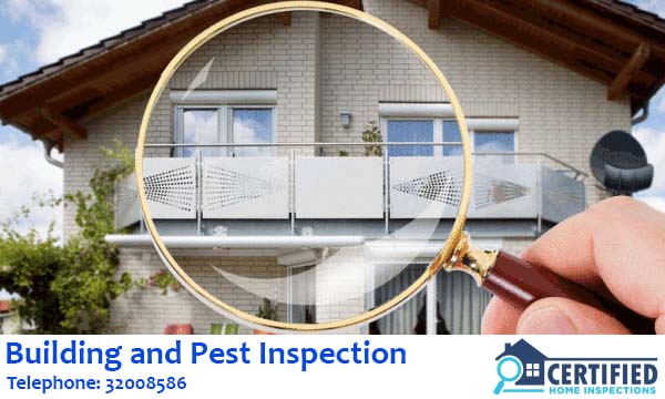 Building And Pest Inspection Thornlands