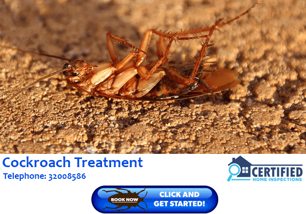 Cockroach Treatment Luscombe