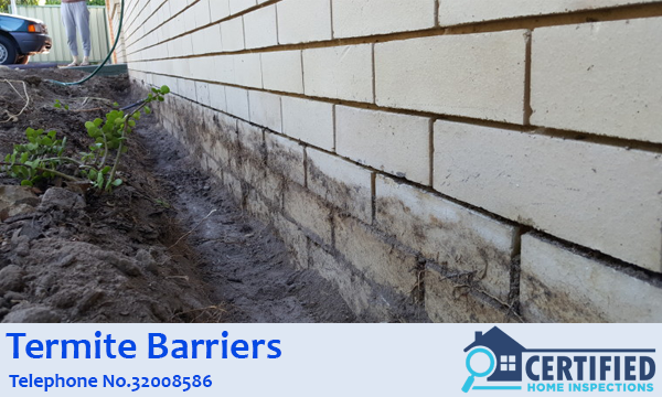 Termite Barrier Inala Heights
