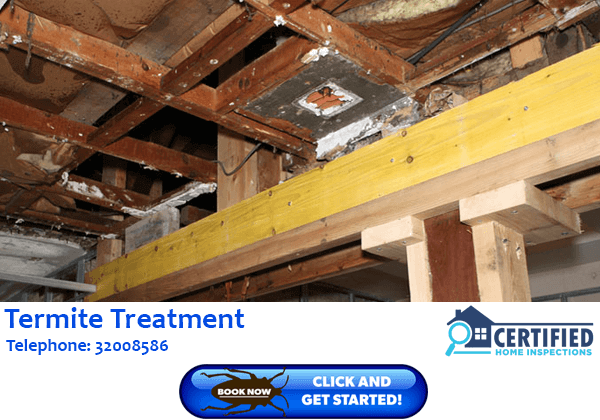 Termite Treatment Veresdale Scrub